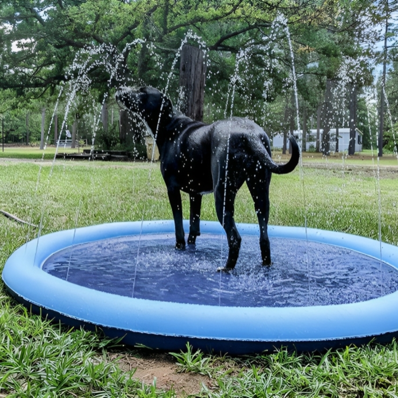 Dogs Sprinkler Pool